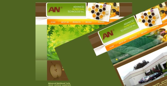 ADVANCED NUTRITIONAL TECHNOLOGY INC