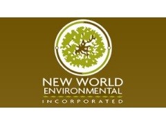 NEW WORLD ENVIRONMENTAL INC