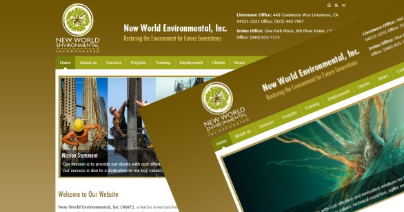 NEW WORLD ENVIRONMENTAL INC